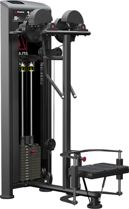 Atlantis Precision Standing Lateral Raise